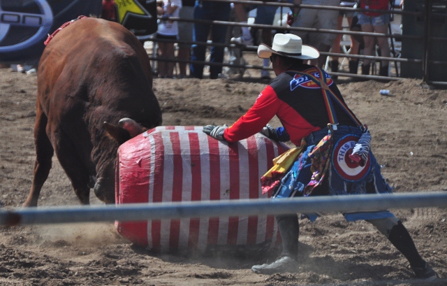 bull fight performance
